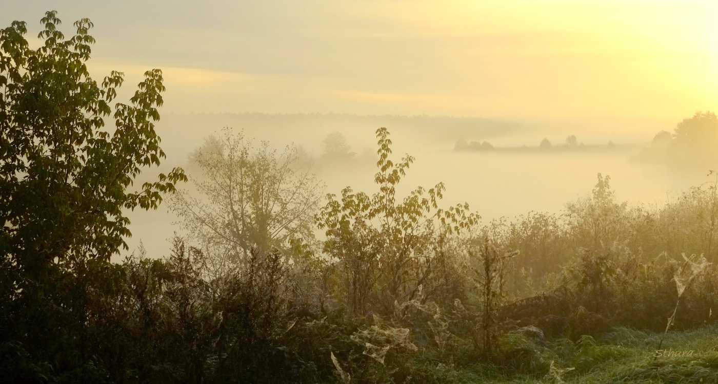 Осенние туманы.