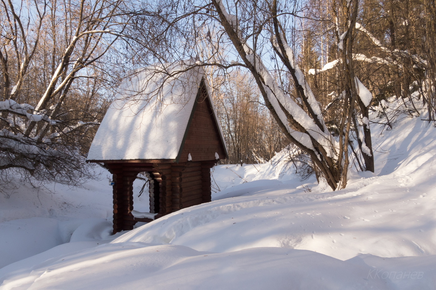 Домик родничка