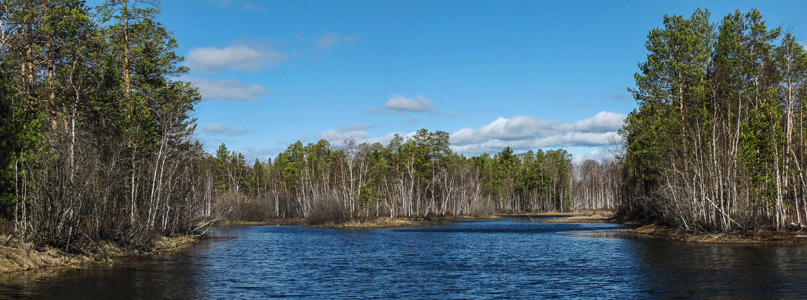 И веет свежим майским ветерком...