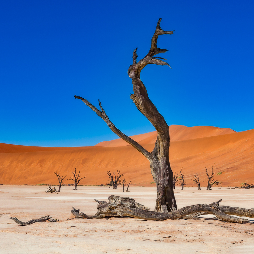 Танцы до упаду