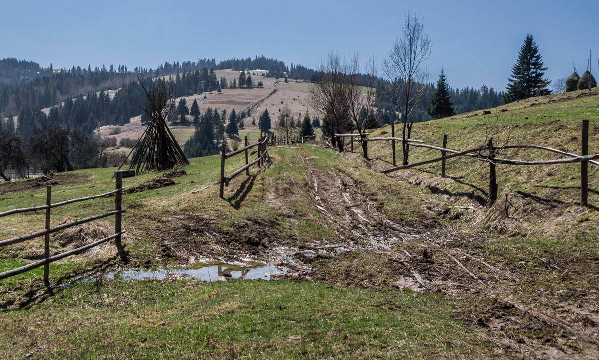 Карпатские мотивы