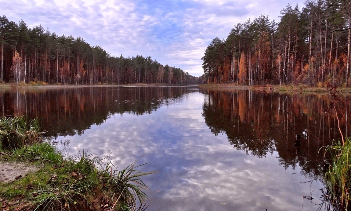 Осень на берегу лесного озера