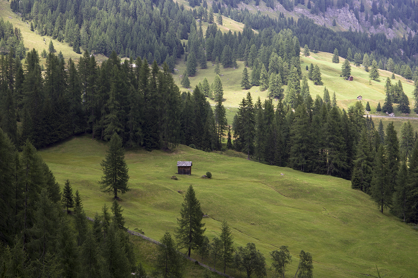 Зеленые склоны