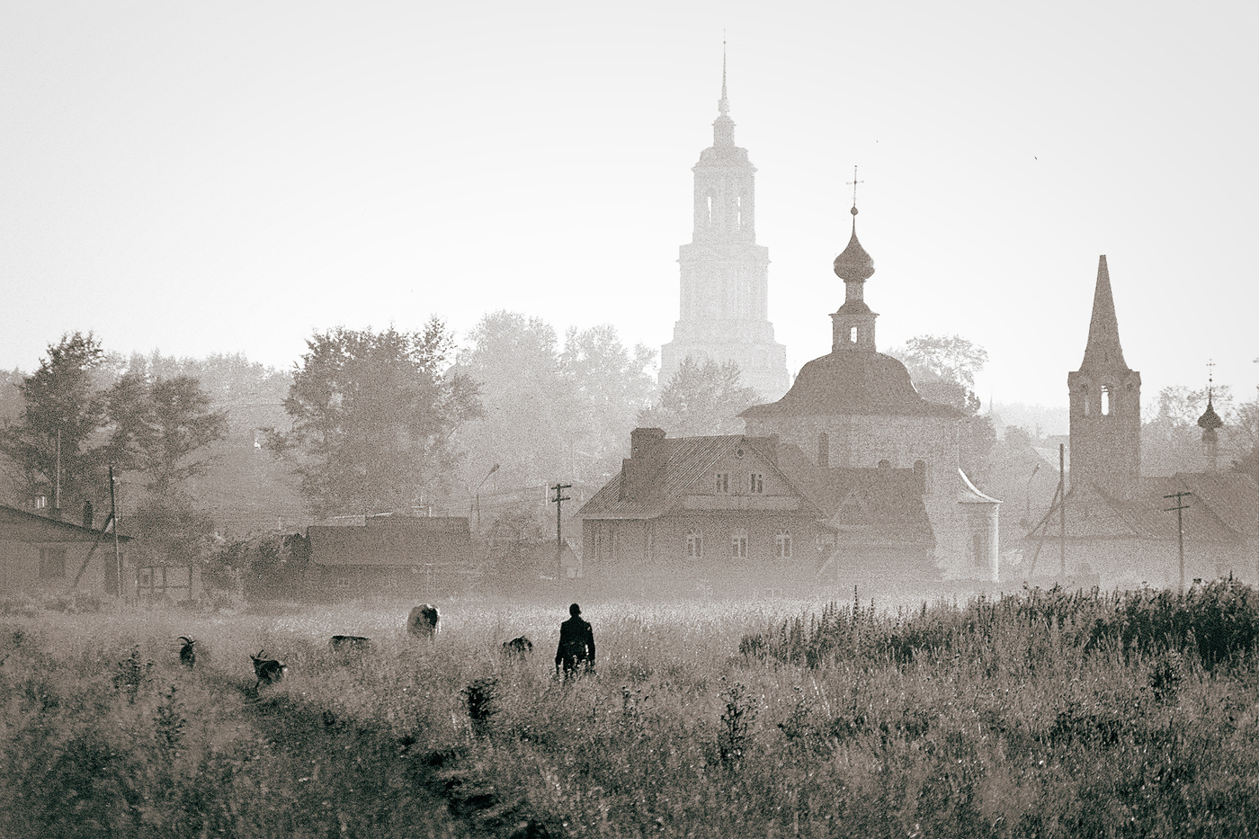 Утро в провинции