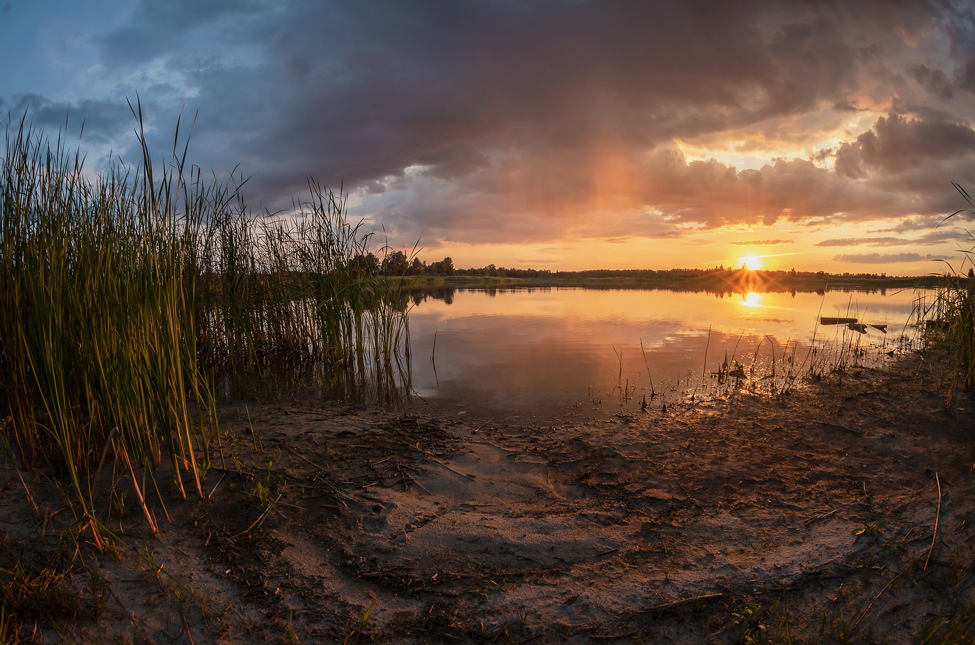 На берегу озера