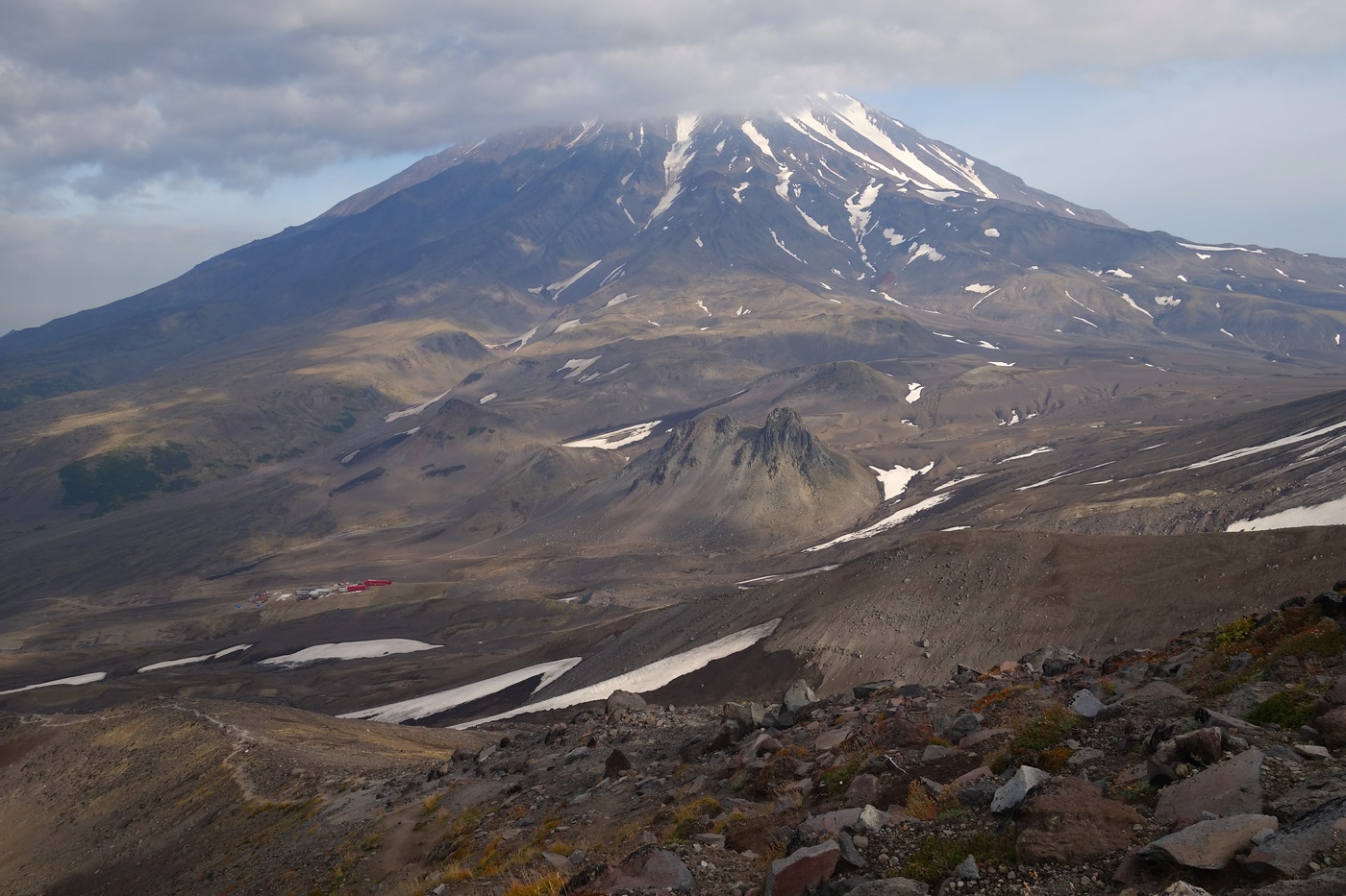 Летнее утро