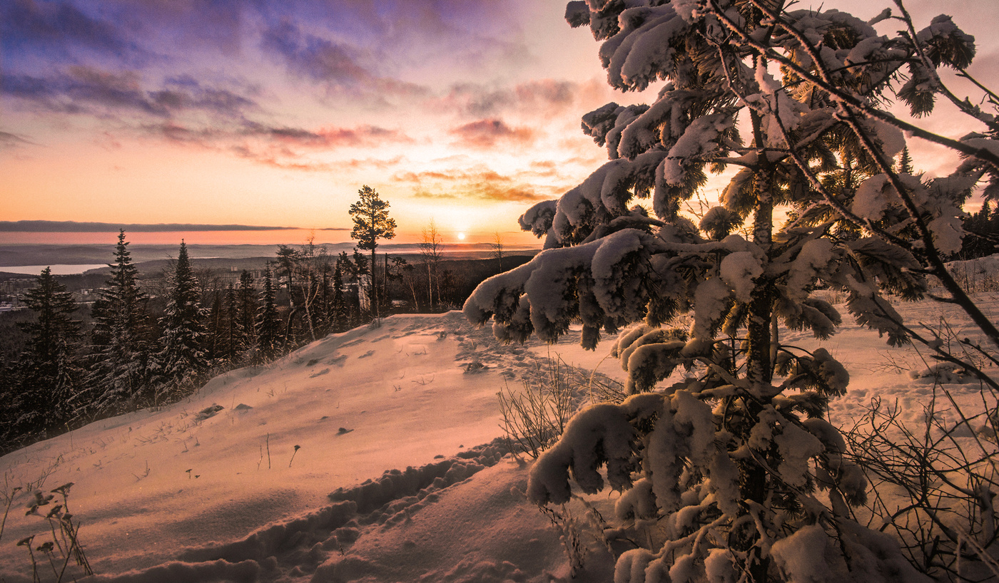 Утренняя тропинка