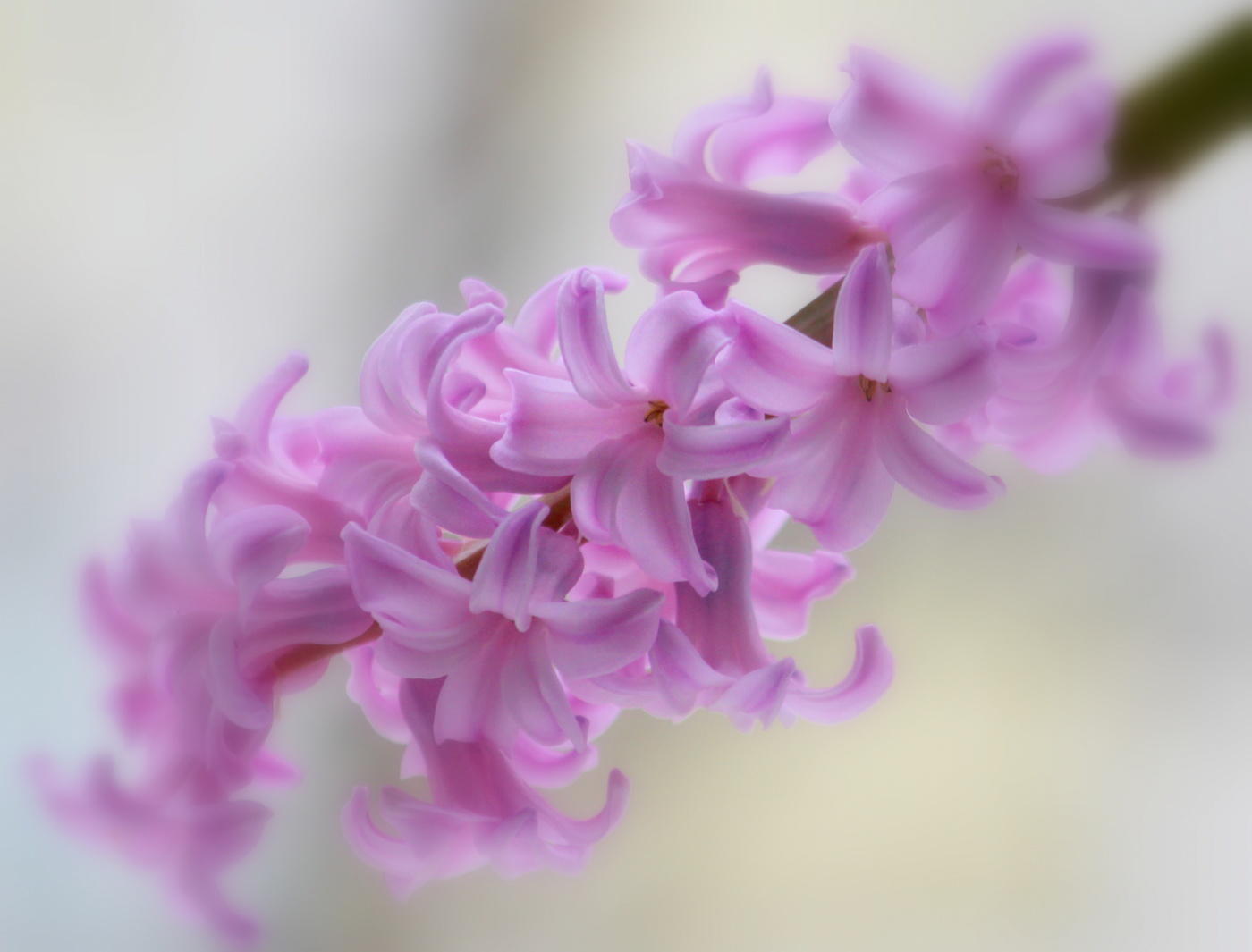 Весенний этюд