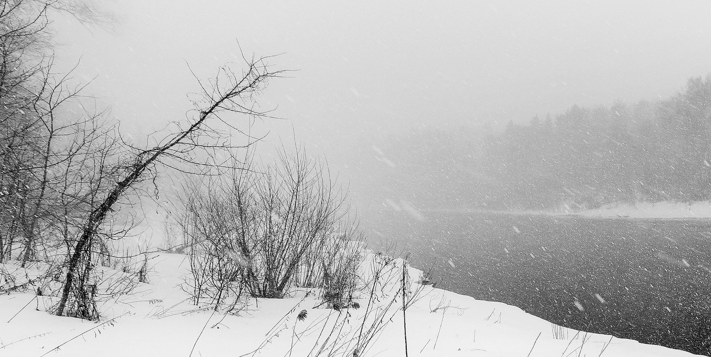 "Зима недаром злится, прошла ее пора ..."