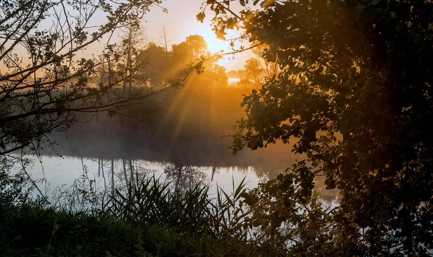 Летние часы рассвета.