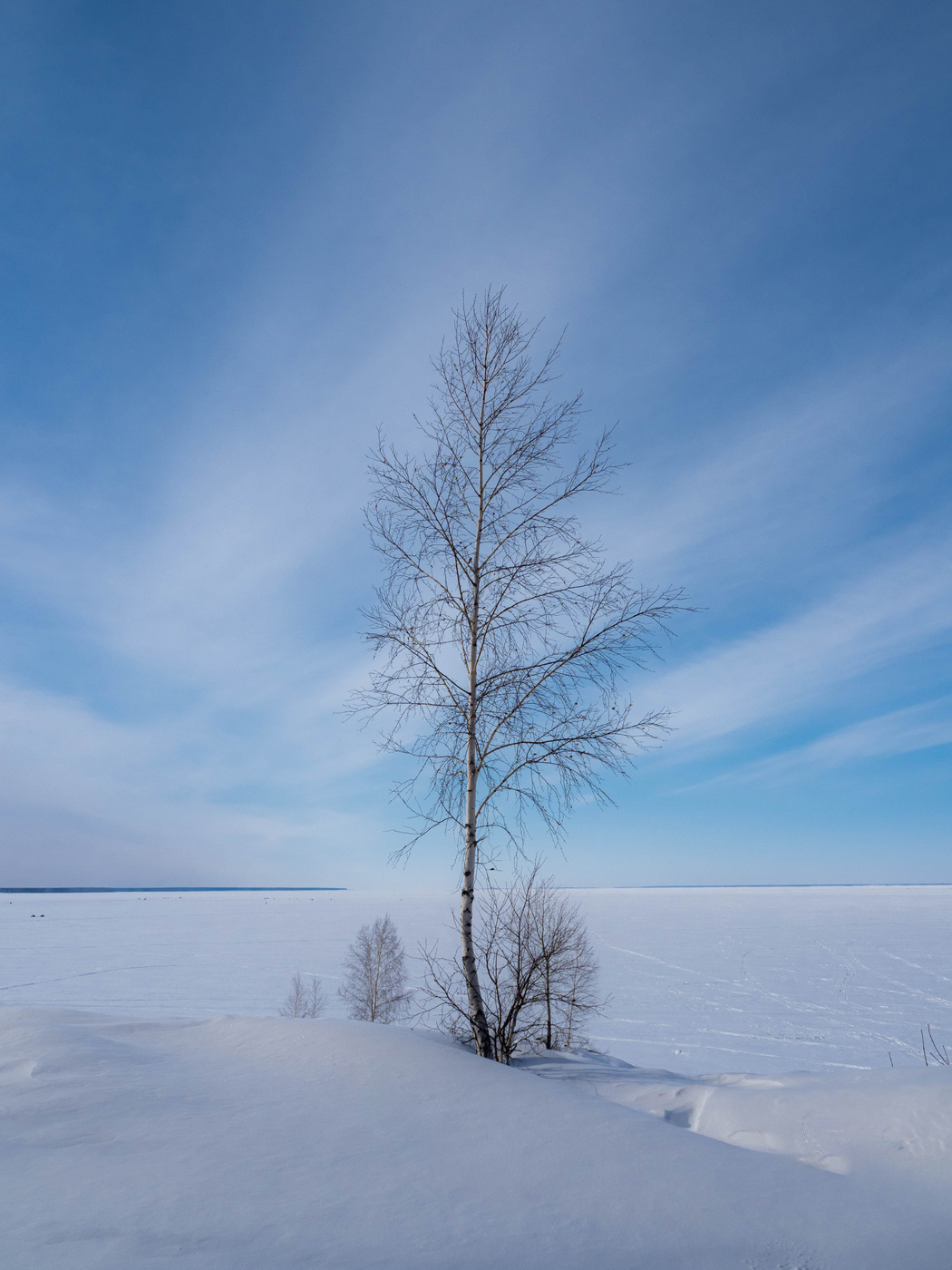 На всех ветрах