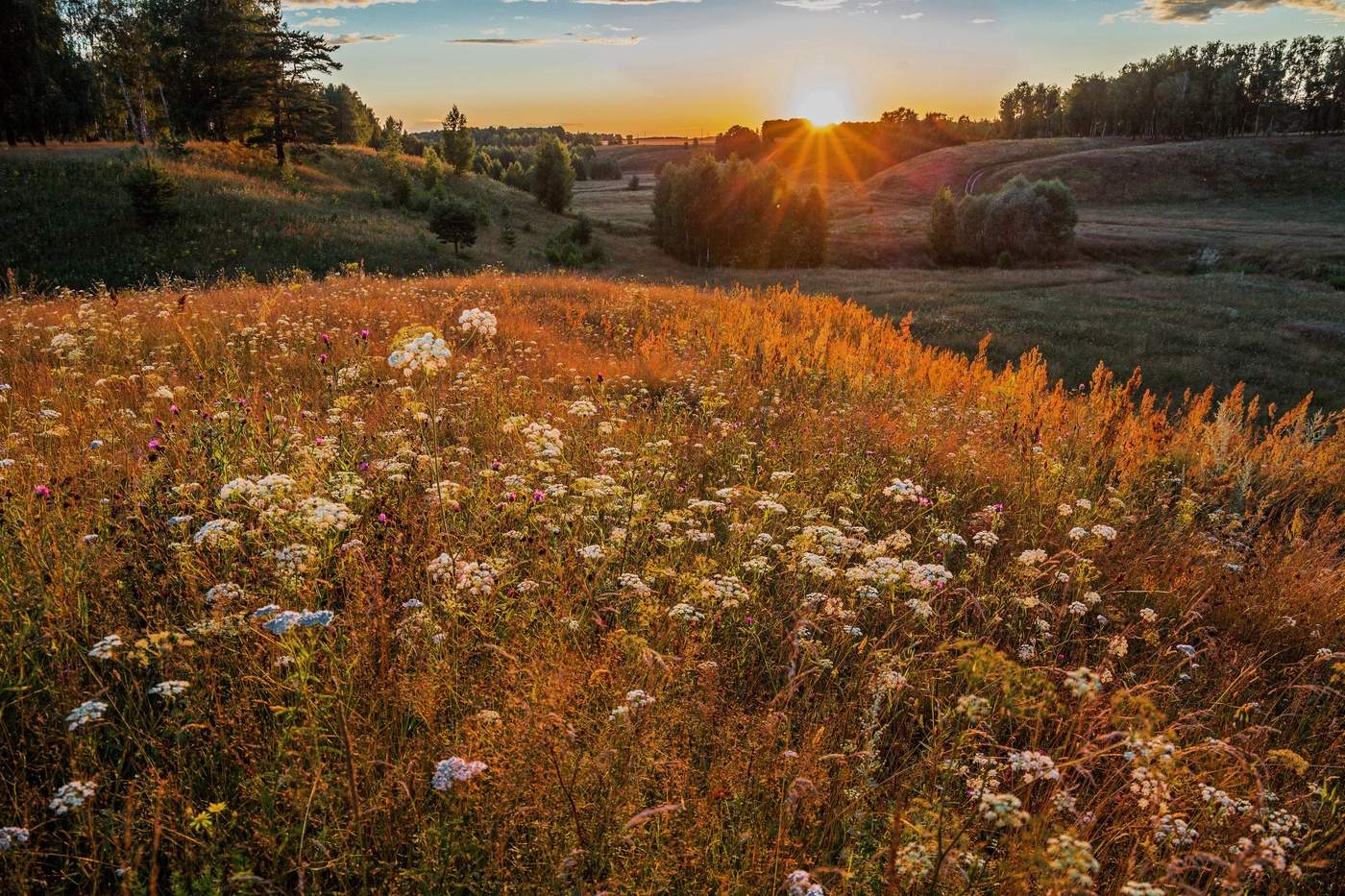 Летний вечер
