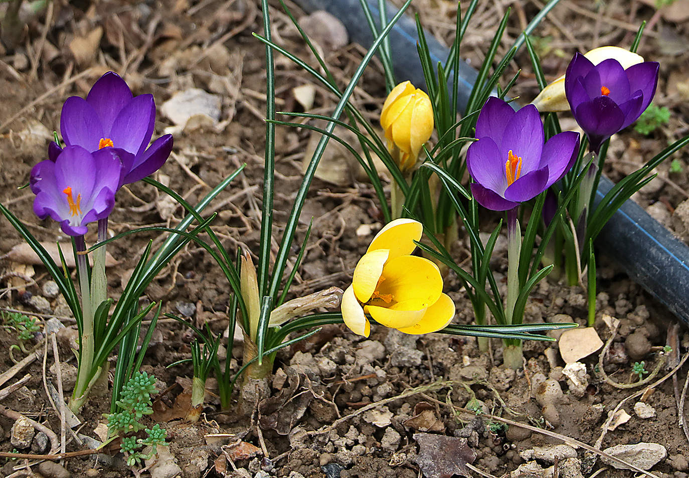 С весенним праздником! С 8 марта, дорогие фотографини!