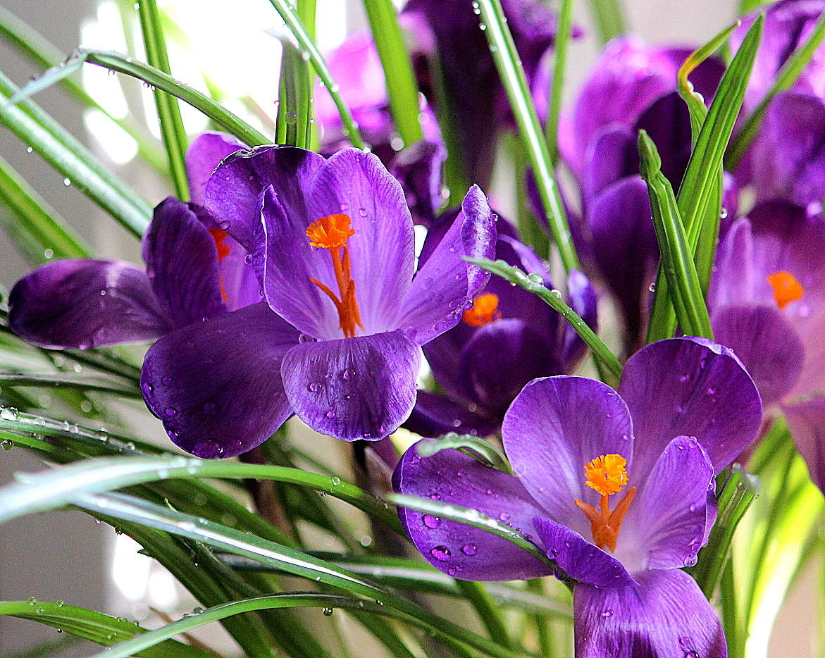 Всех женщин с праздником 8 марта!