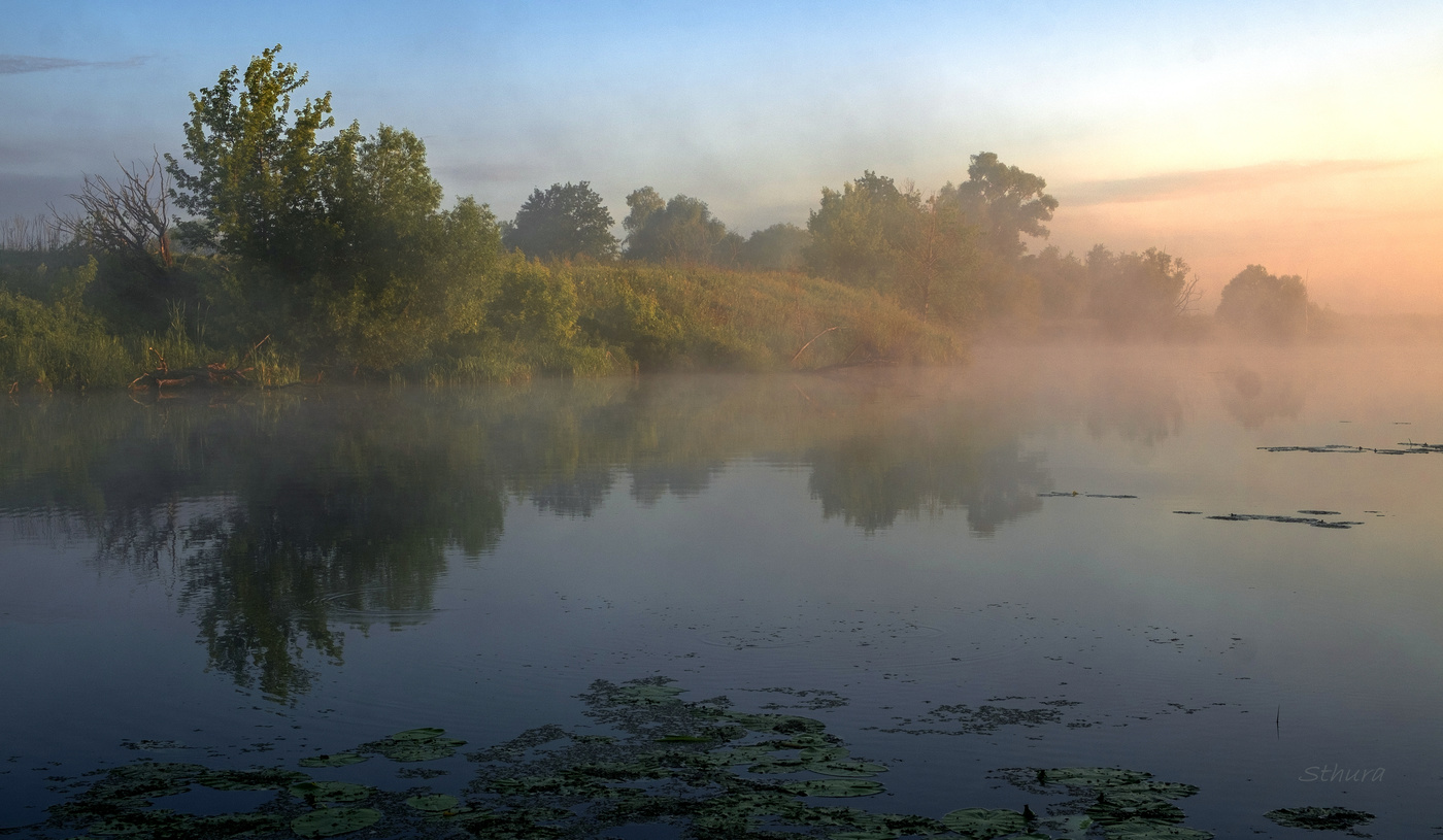 Тихое утро.