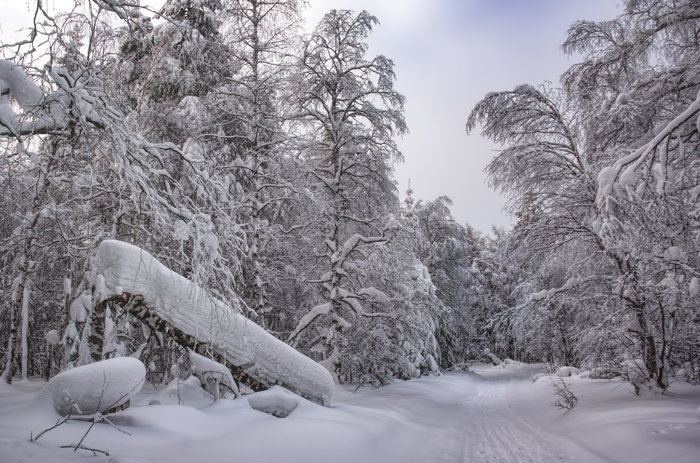 А лес стоит загадочный