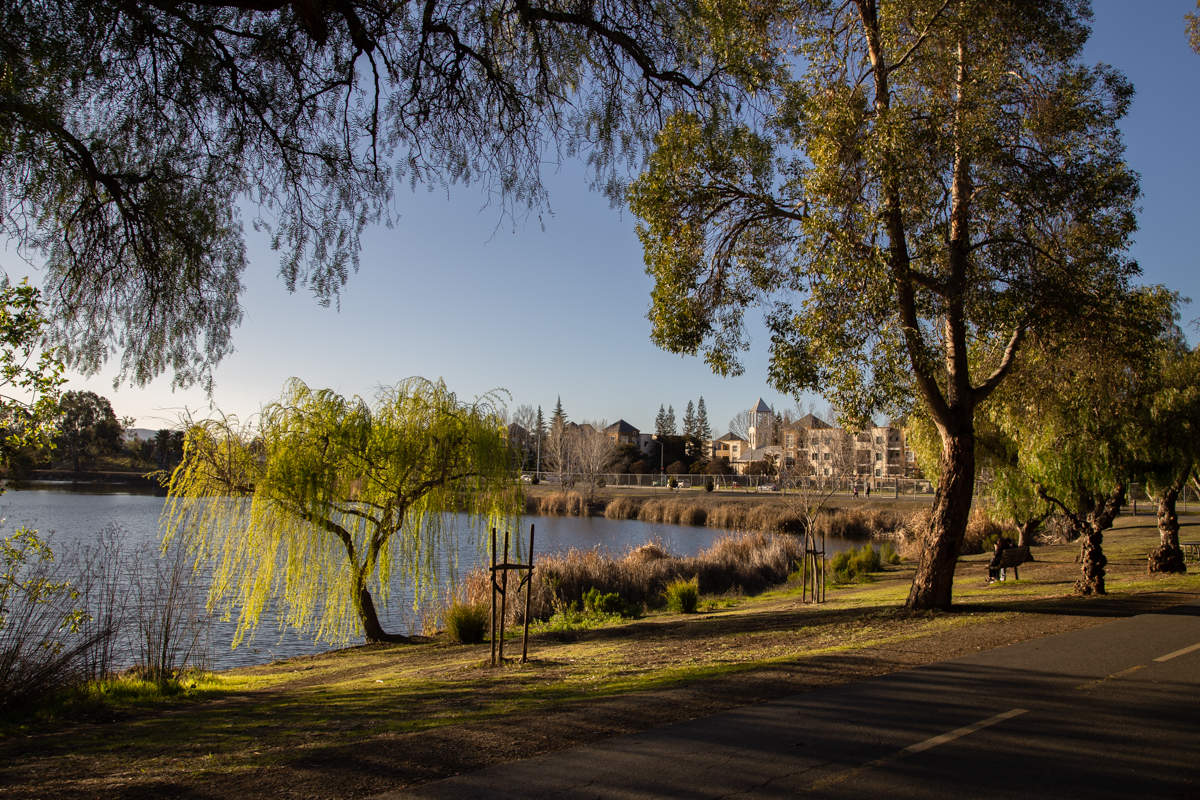 Солнечный денёк