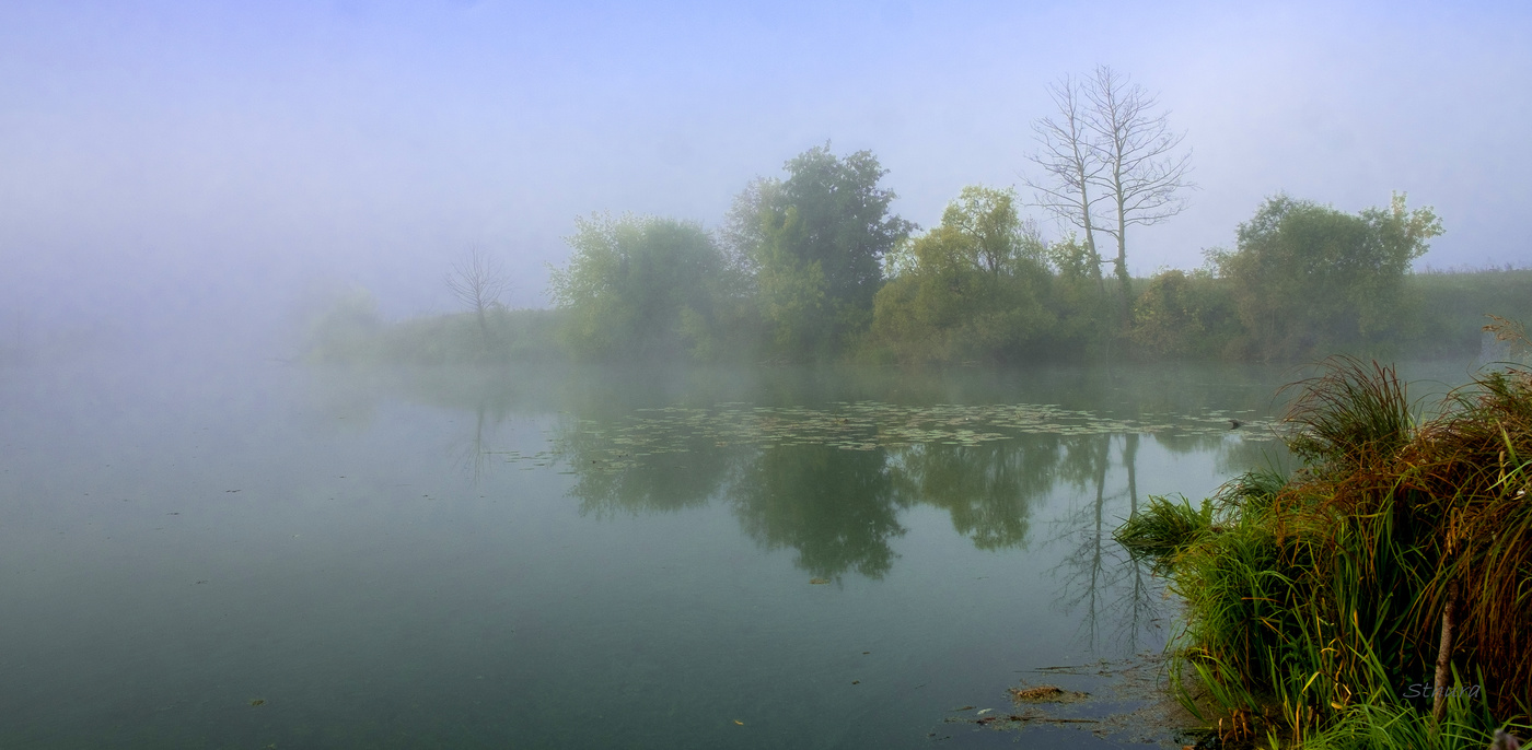 На Омуте туман.