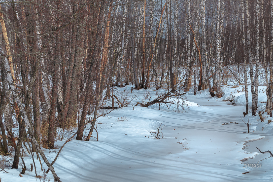река под снегом