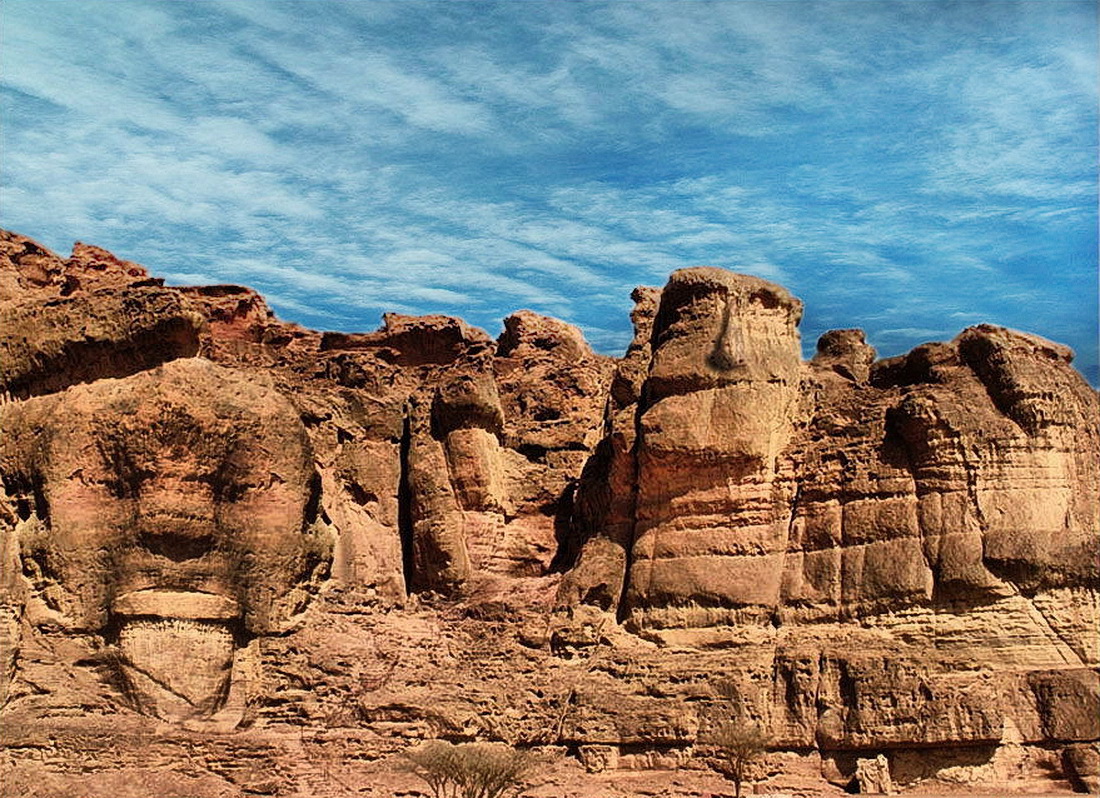 Рожи пустыни Арава