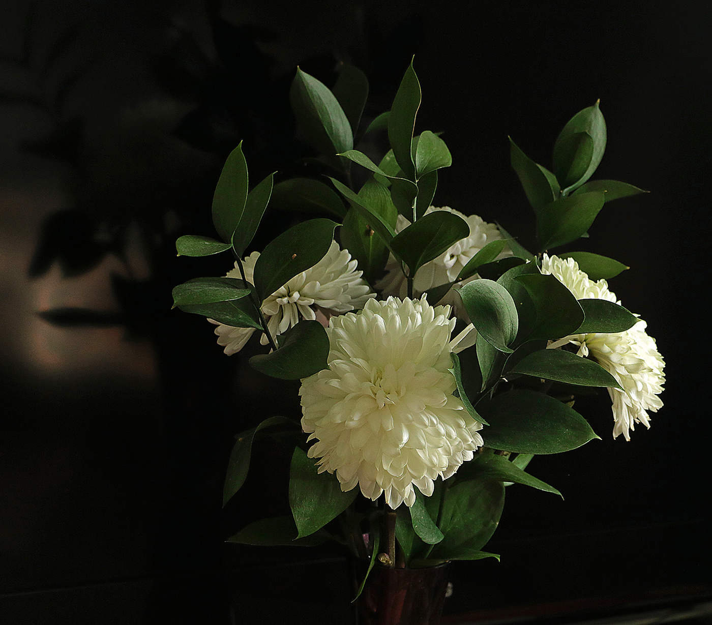 Хризантемы