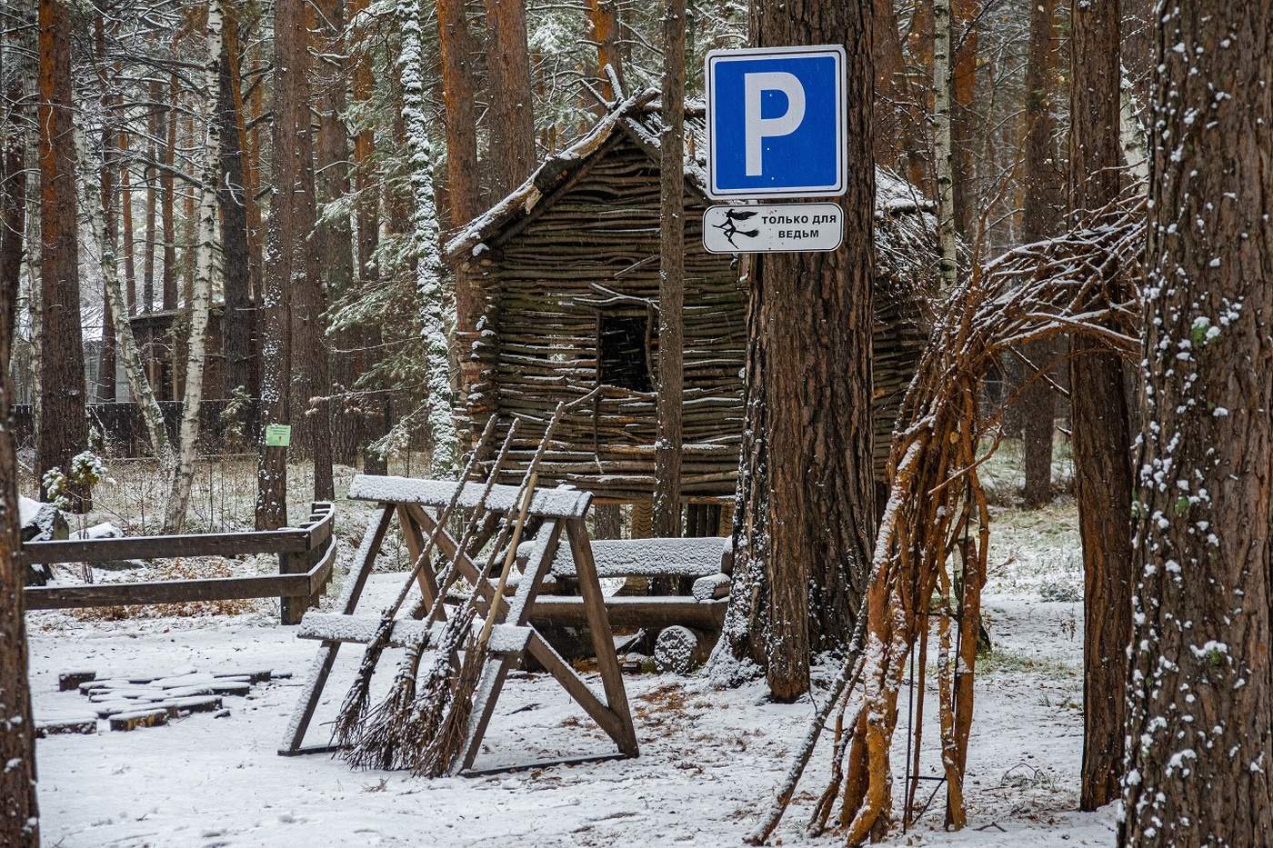 Там чудеса , там леший бродит