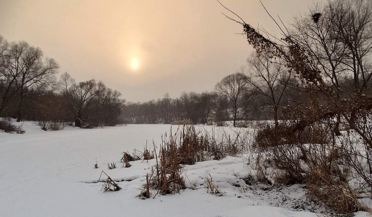 Мороз и снег на закате в марте