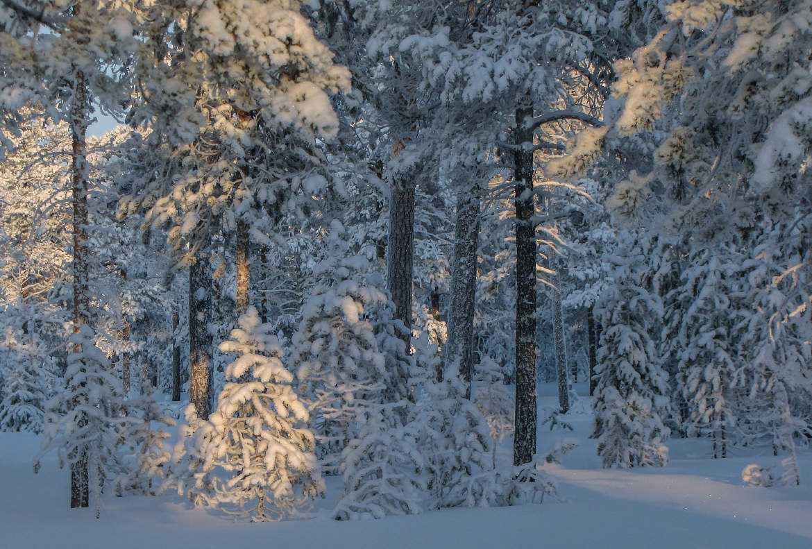 зима прощаться не спешит...