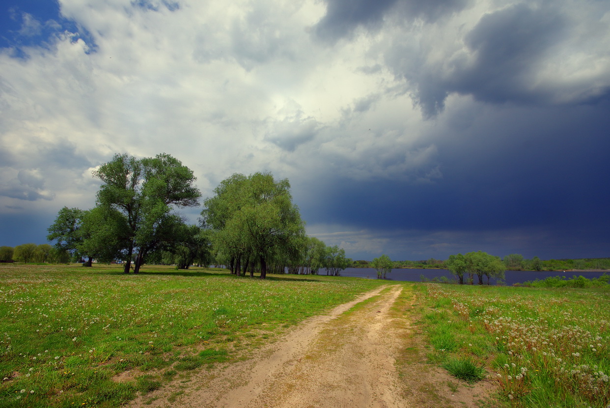 Перед дождём