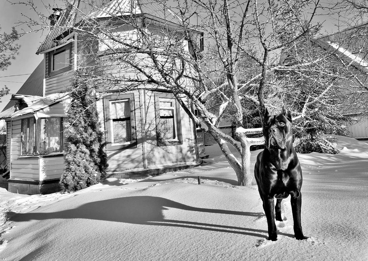 "Чужие здесь не ходят ..."