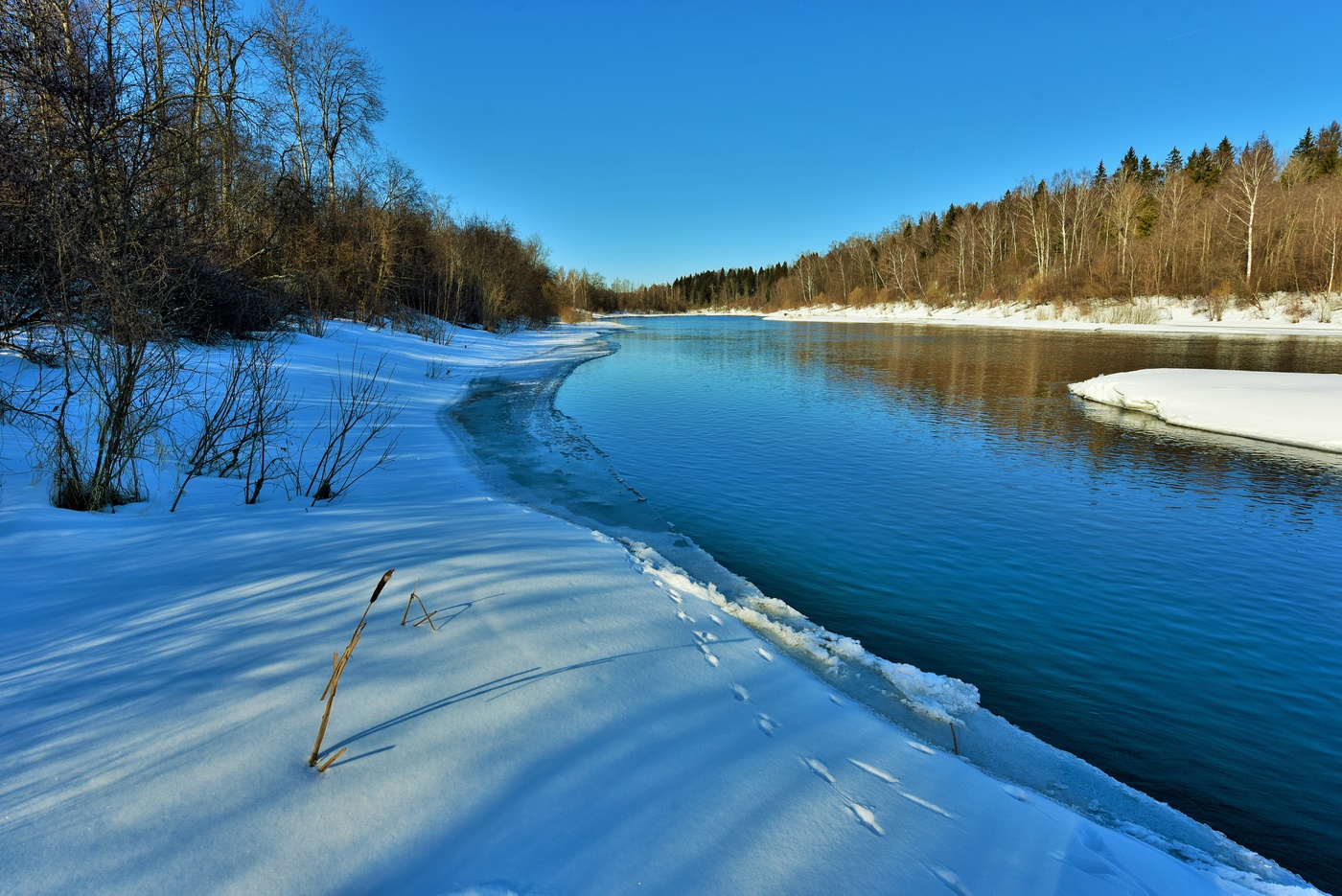 "Лед вскрыт уже - зимы разбита клетка ..."