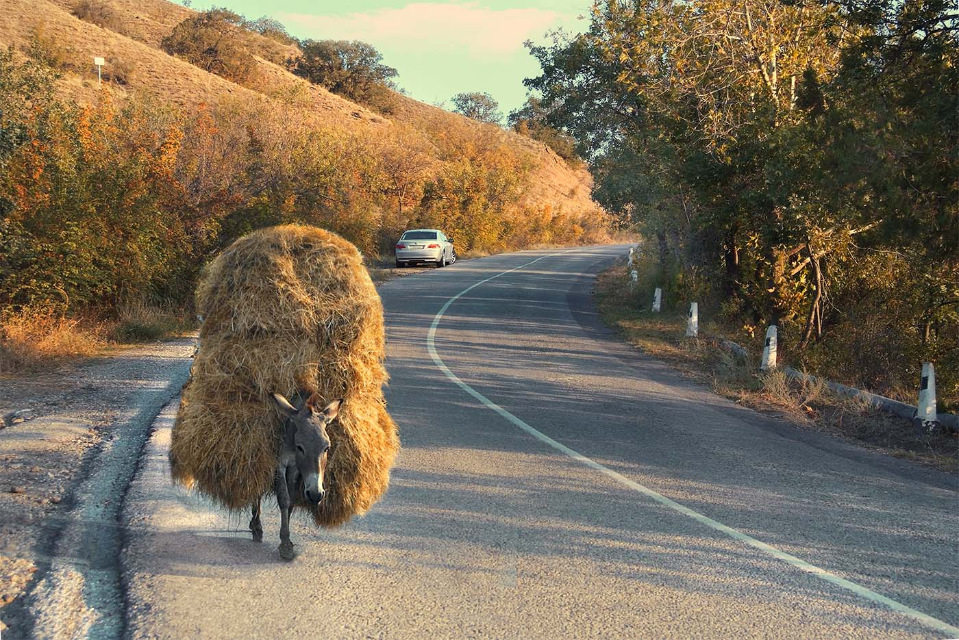 Лошадиные силы