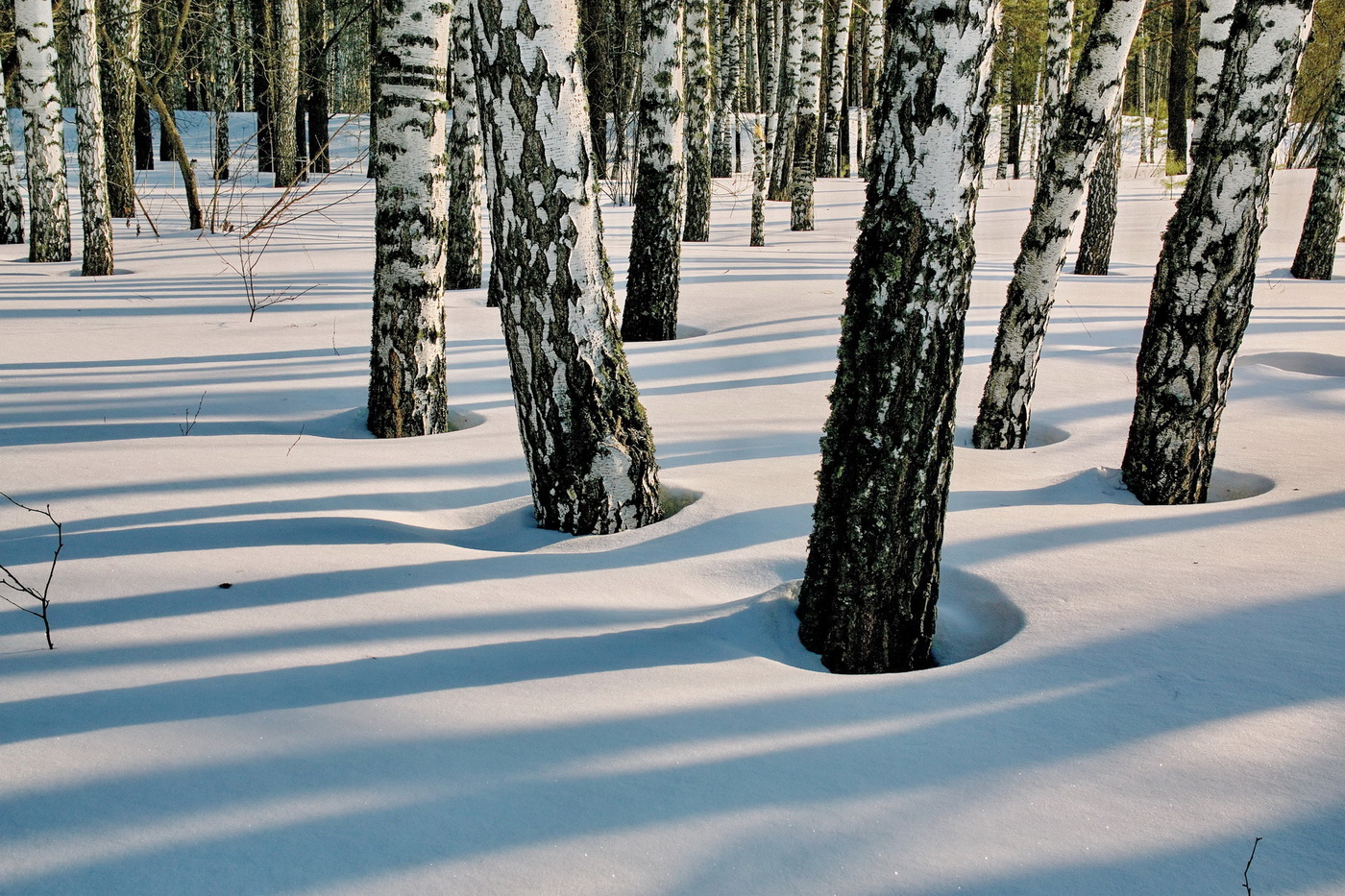 Мартовский лес.