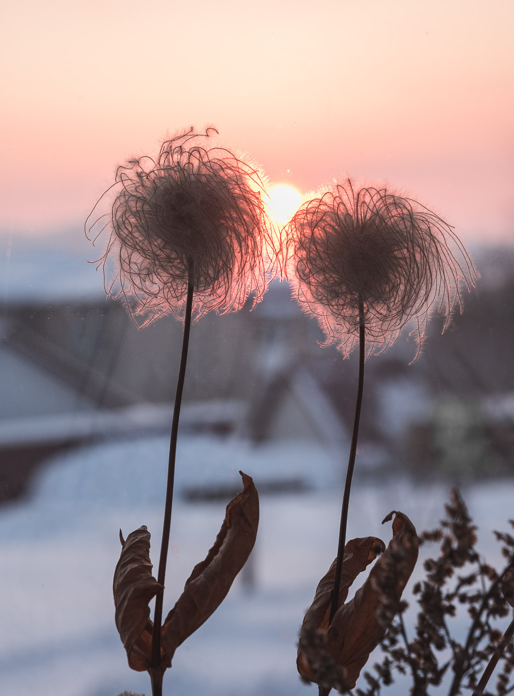 Скоро весна...