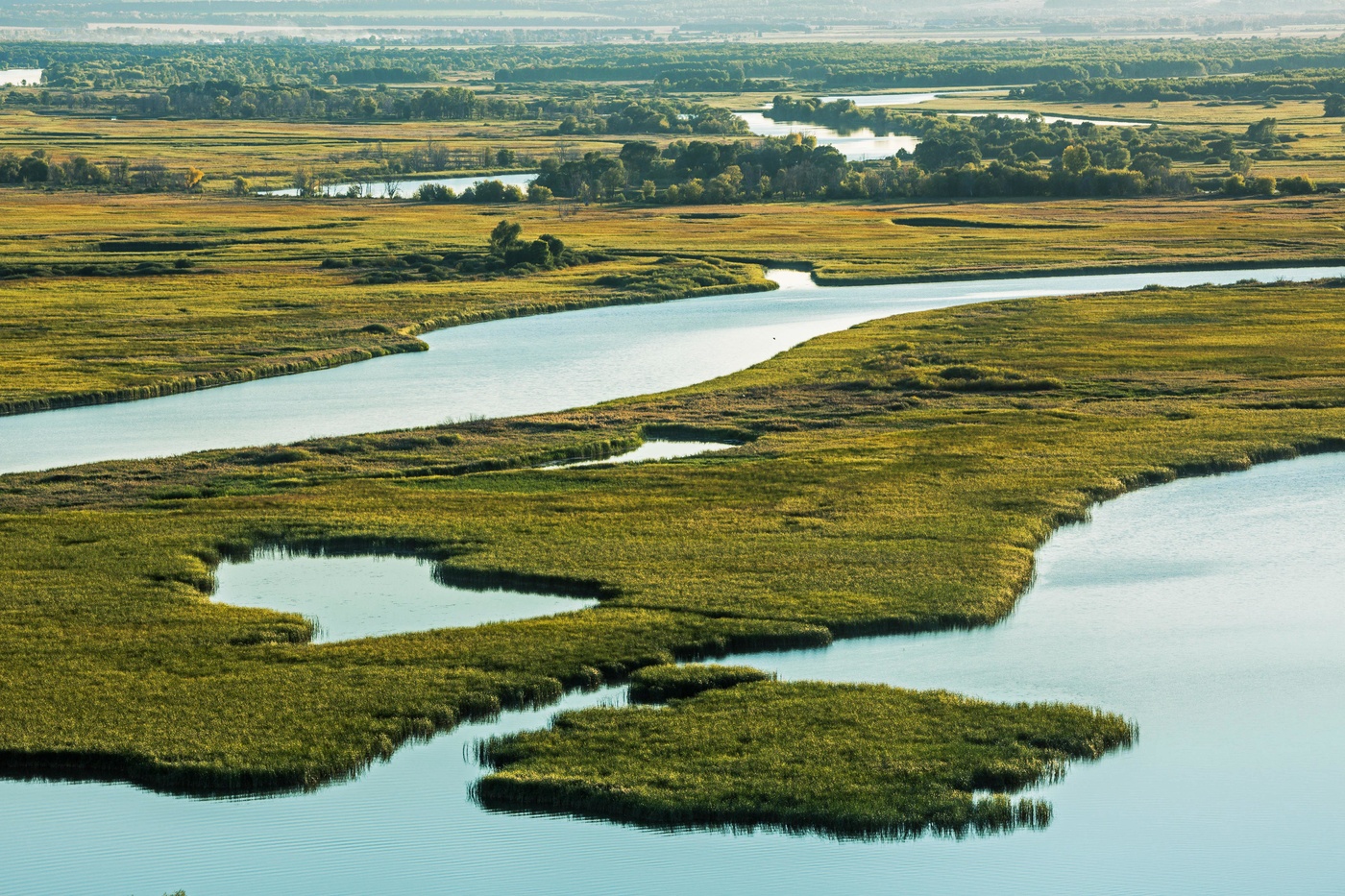 Дельта реки Свияга