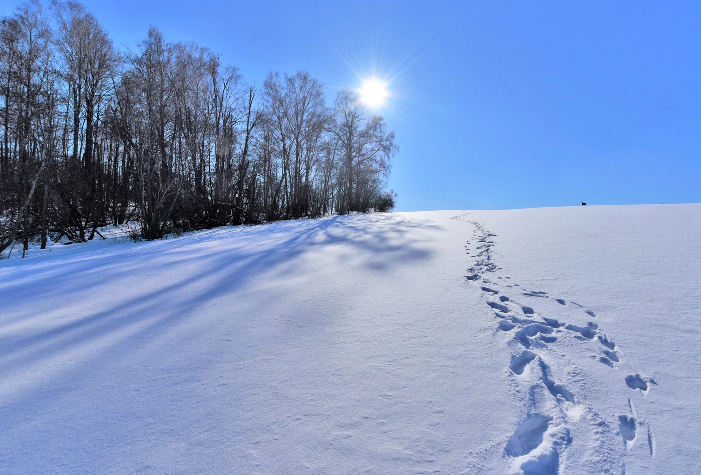"Не убегайте от своей любви ..."