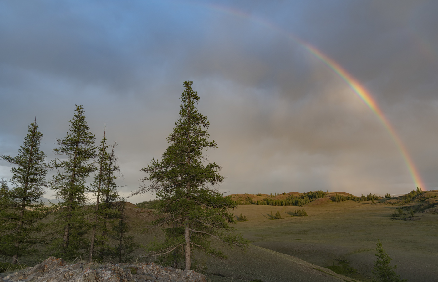 Таежная радуга