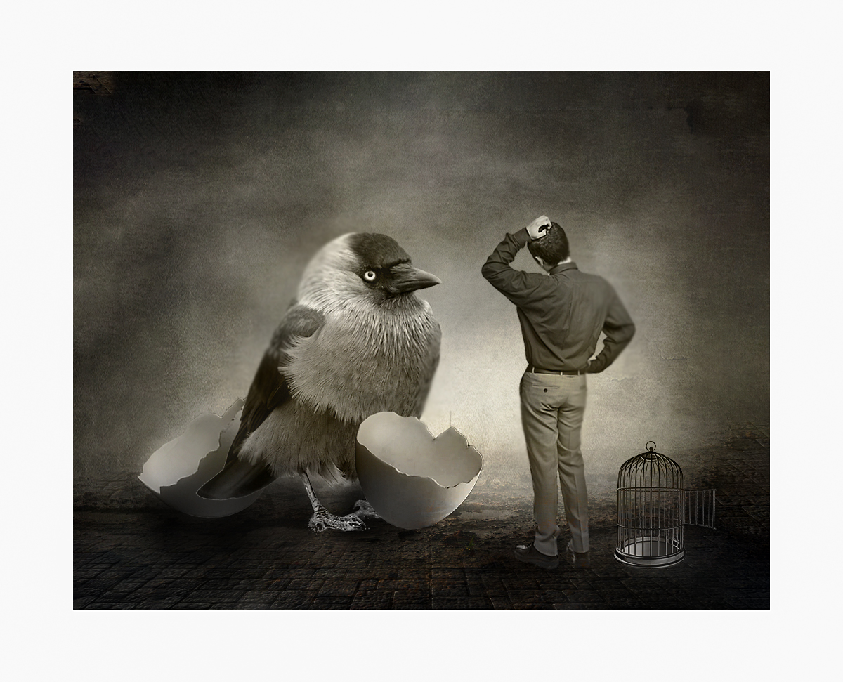 А обещали попугайчика...