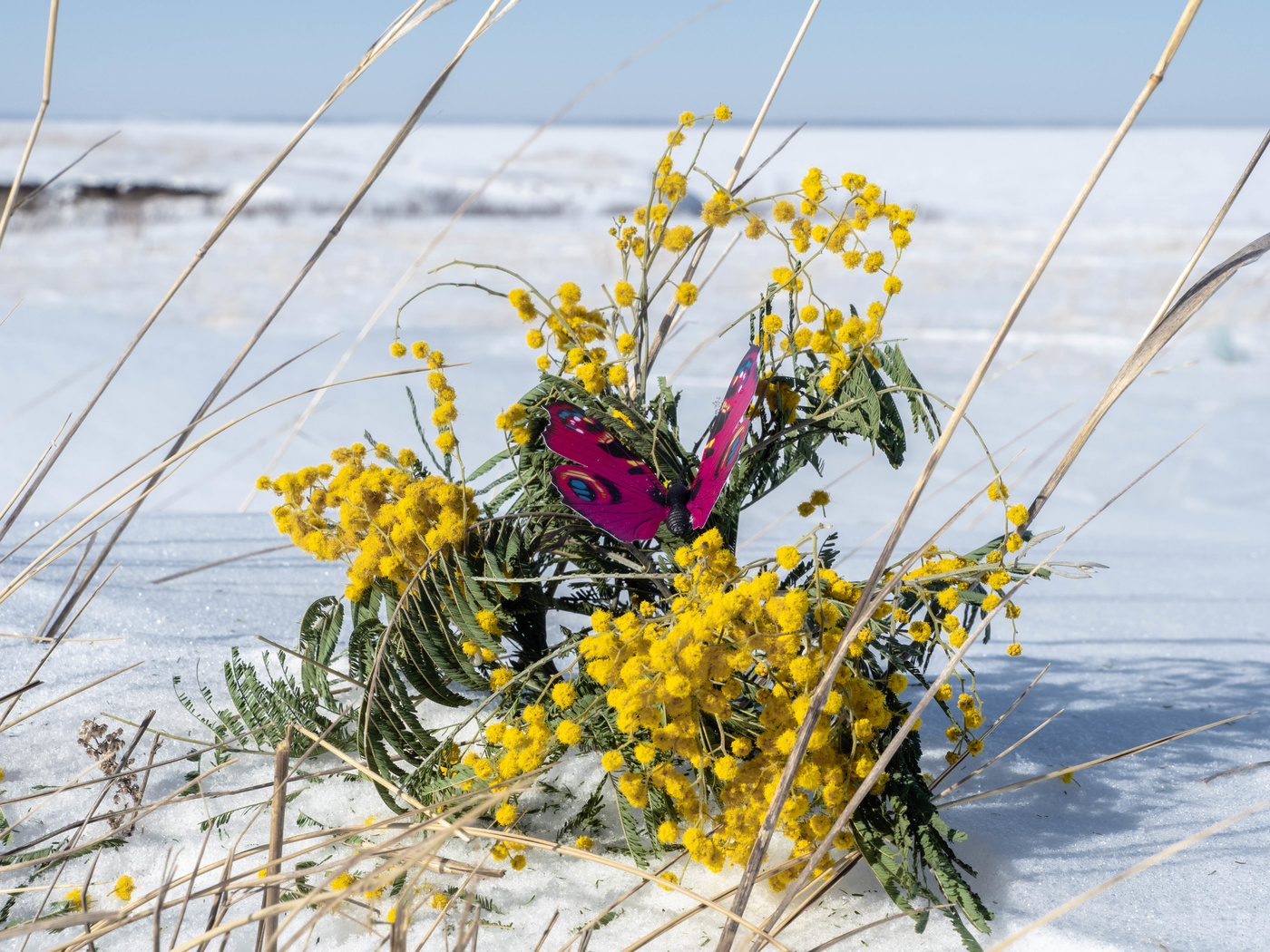 Весенняя фантазия