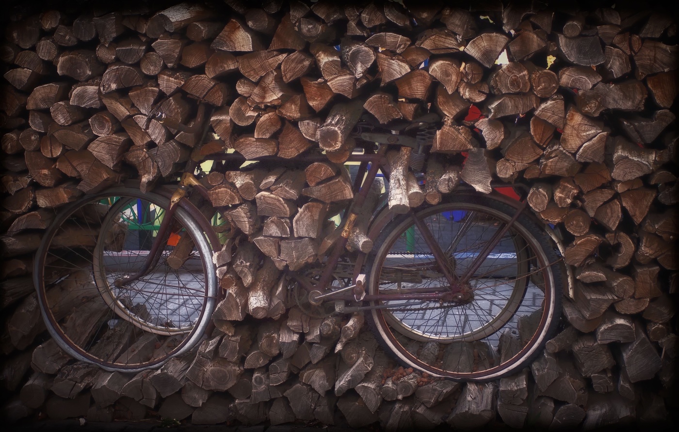 Из лесу вестимо ..