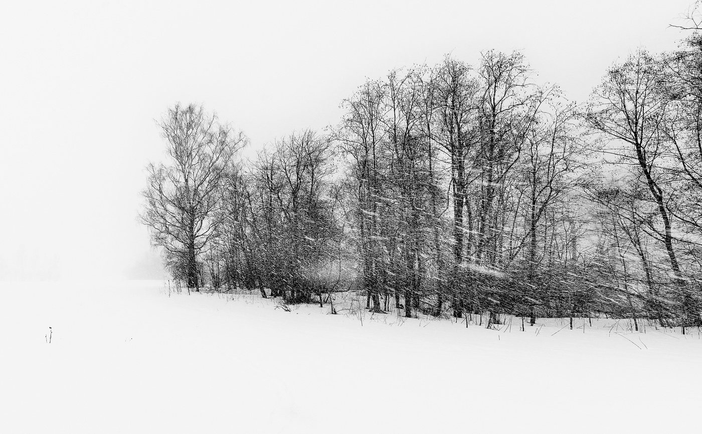 "Так метет, хоть черный пиджак надень ..."