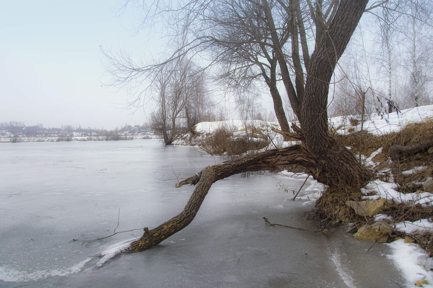 Склонённое,но не сломленное...