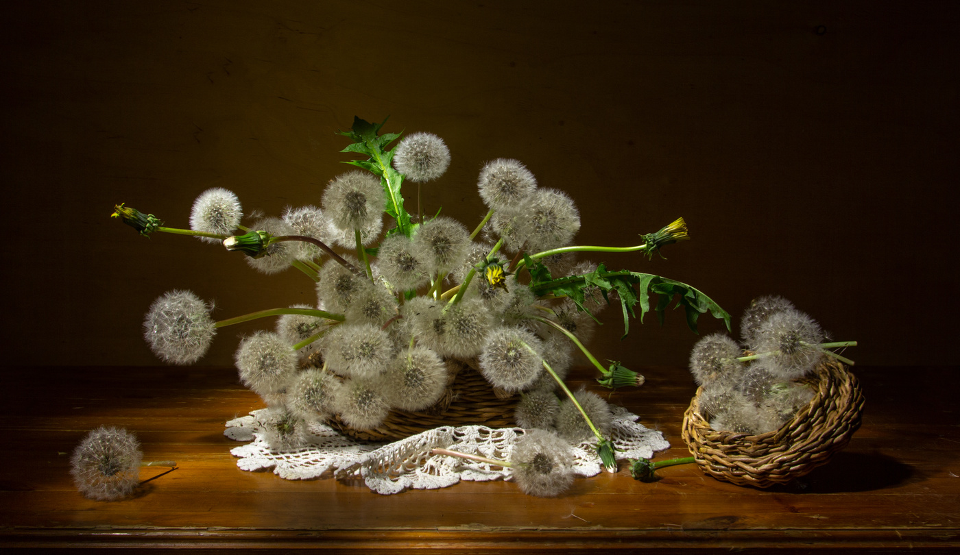 Пушистики...