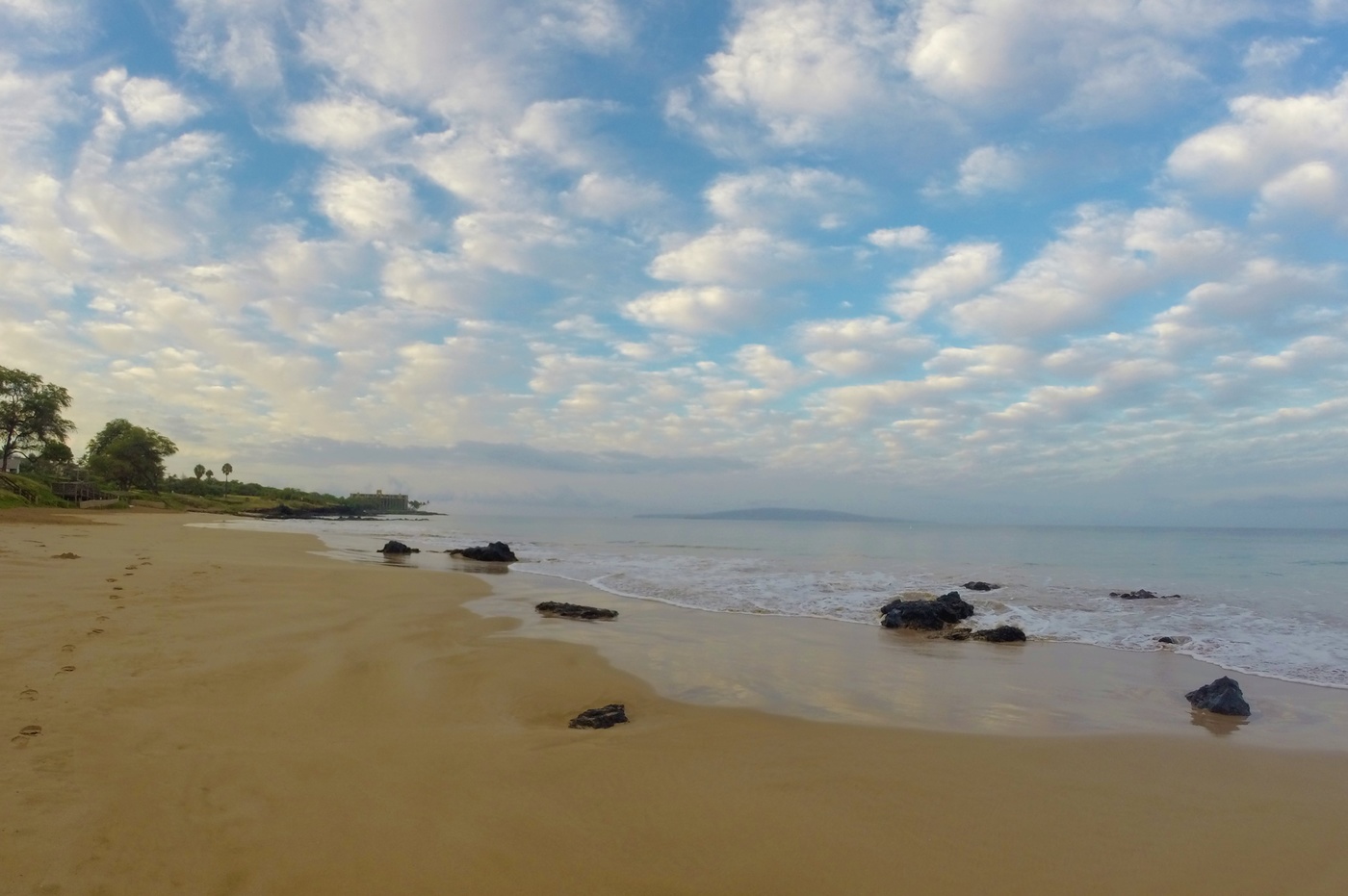 Теплое утро...