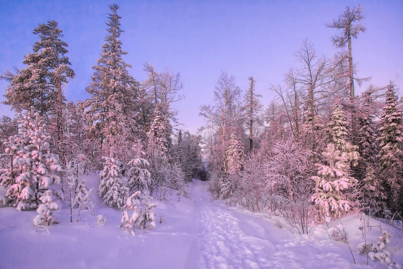 Утренний свет