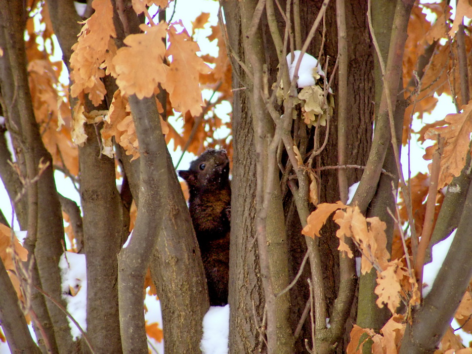 меня не видно