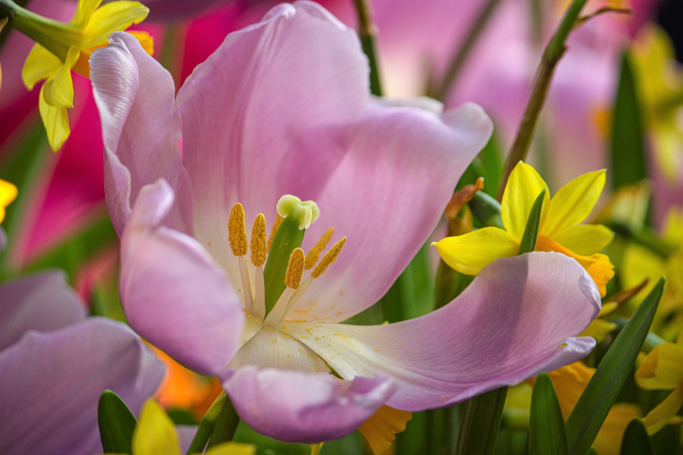 Красавчик))