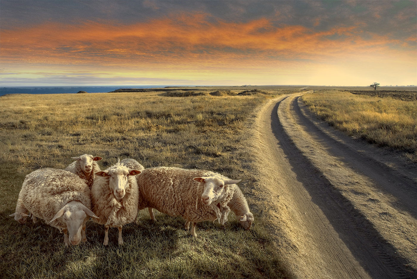 Ни бе, ни ме