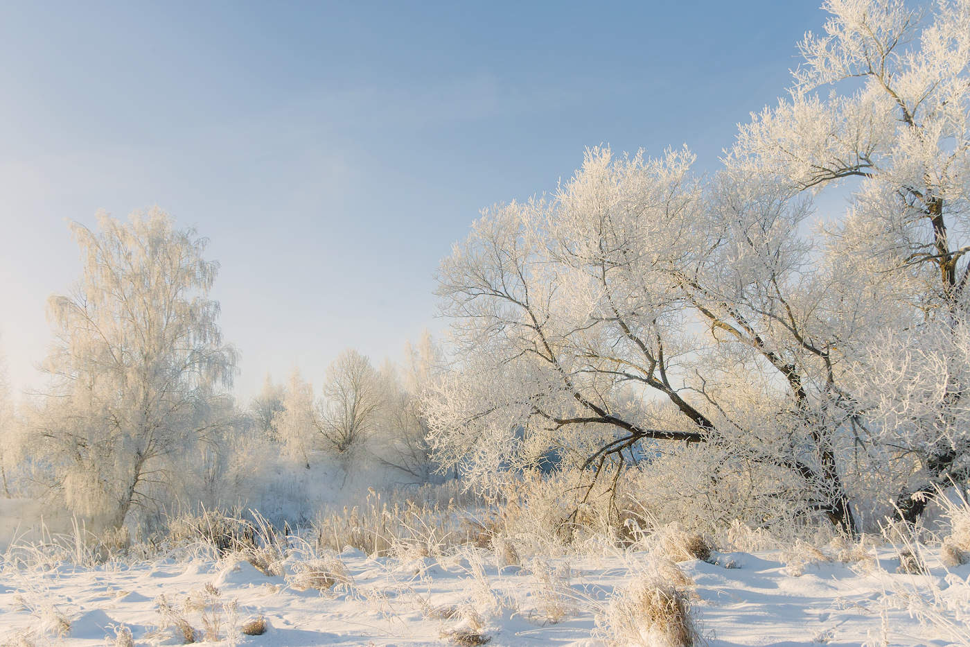 В морозном ажуре