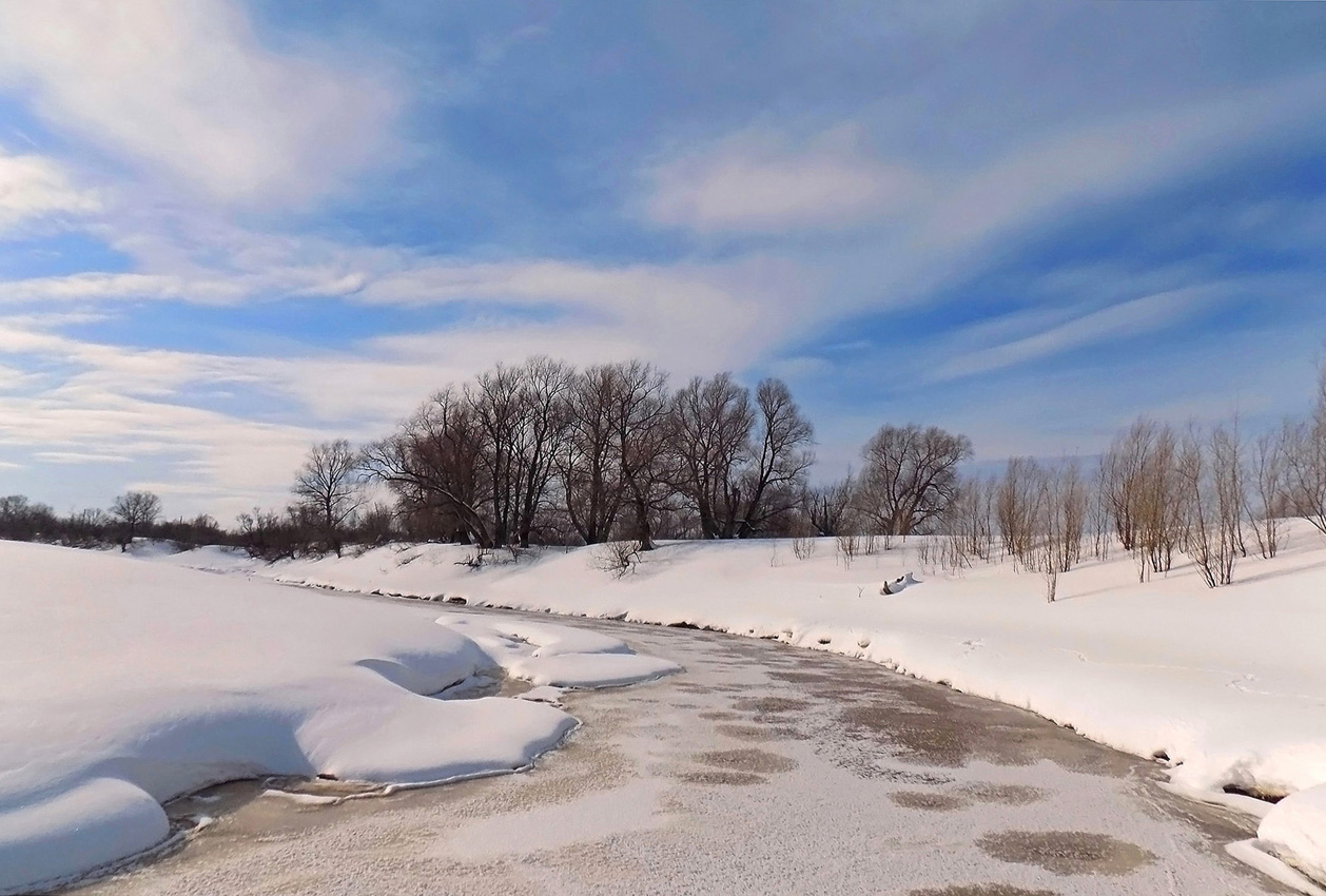 Сибирский март